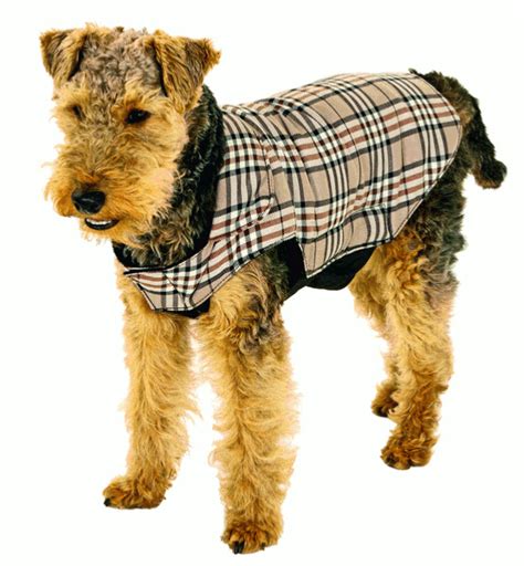 Manteau pour chien burberry 